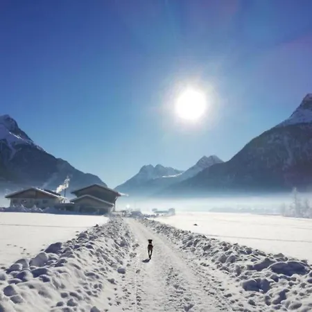 In Ramsau In Tyrol With A Balcony Holiday home