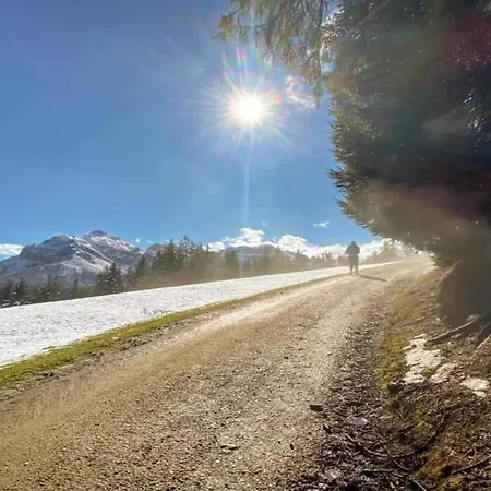 In Ramsau Near Slopes בית נופש רמסאו אים זילרטל