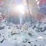 度假居 In Ramsau Near Slopes *