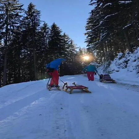 In Ramsau Near Slopes * Ramsau im Zillertal